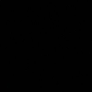 Meet your Posher, Beatriz